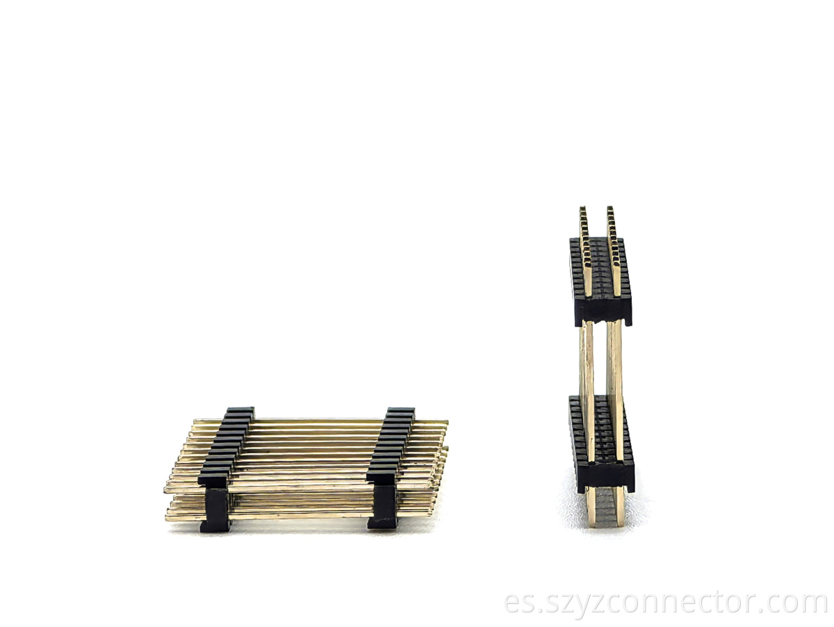 Principal-03 Main-03